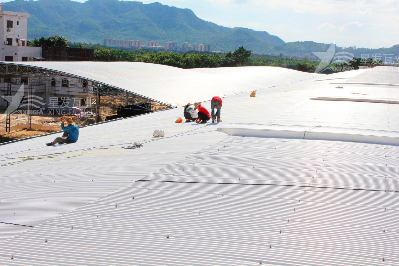 樹脂瓦漏水？不要慌，這些方法能夠快速解決問題！